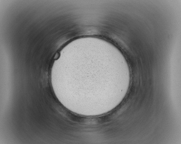 X0000113911457200910221324