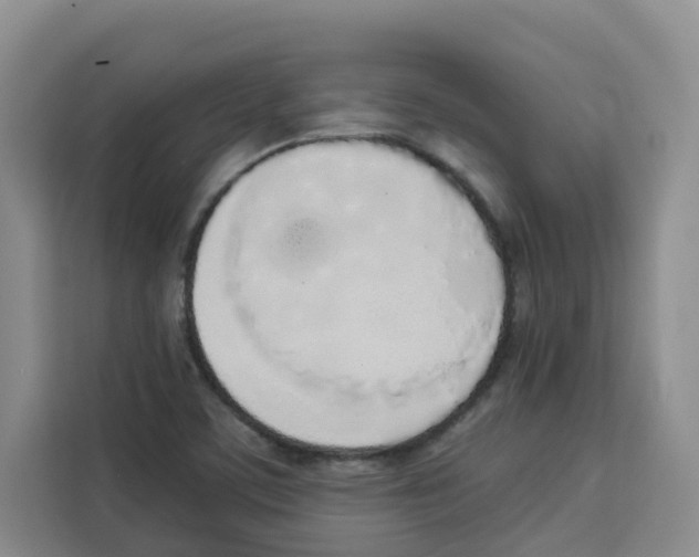 X0000113911459200910221324