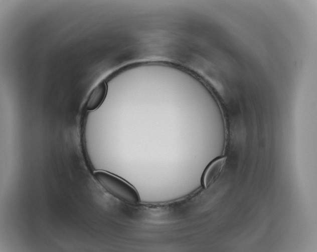 X0000113911460200910221324