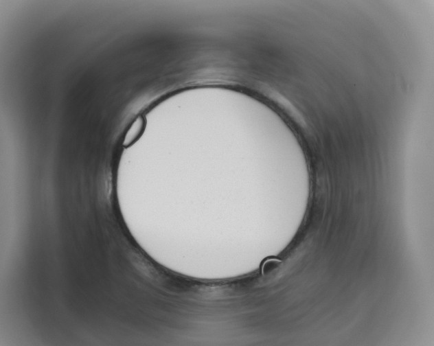 X0000113911461200910221324