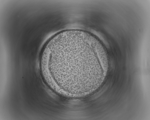 X0000113911462200910221324