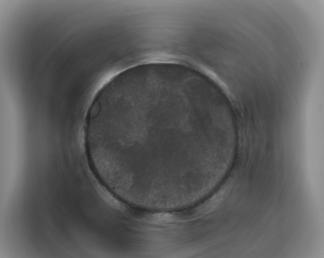 X0000113911463200910221324