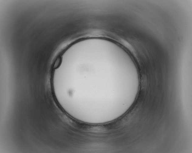 X0000113911464200910221324