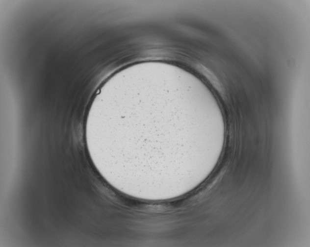 X0000113911465200910221324