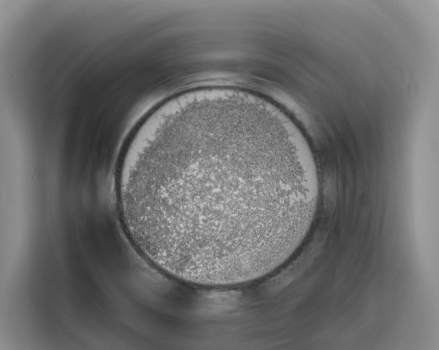 X0000113911466200910221324