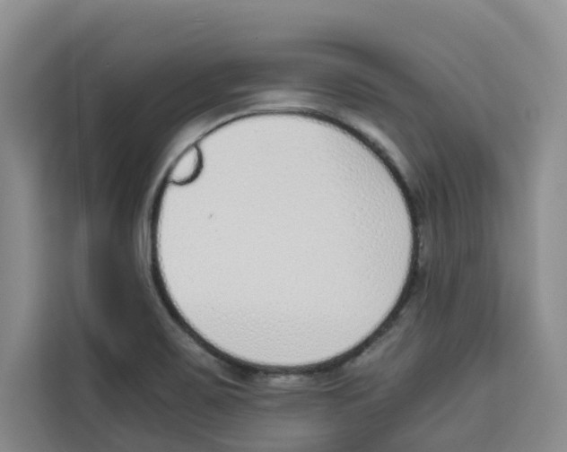 X0000113911467200910221324