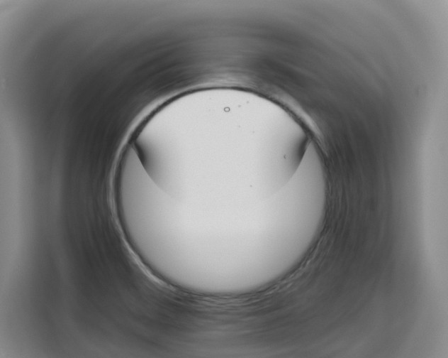 X0000113911468200910221324