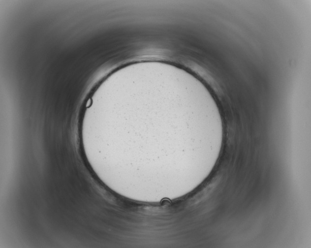 X0000113911469200910221324