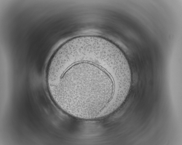 X0000113911470200910221324