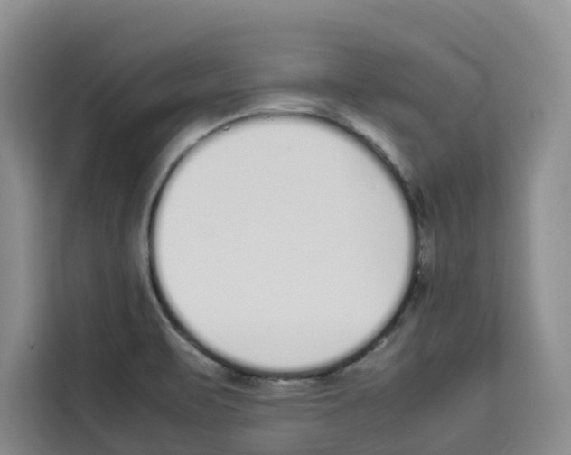 X0000113911471200910221323