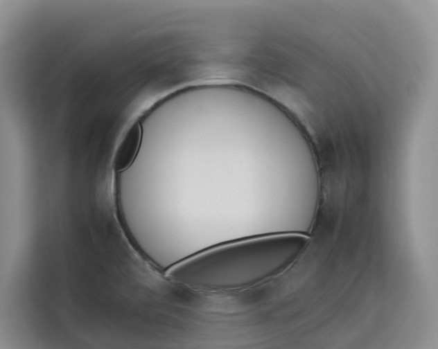 X0000113911472200910221323