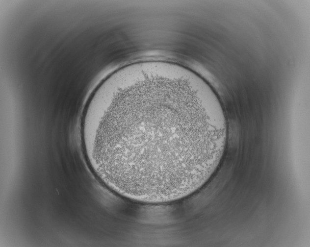 X0000113911474200910221323