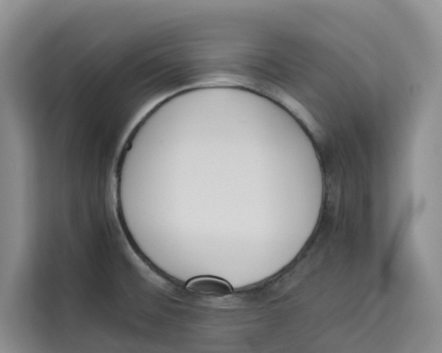 X0000113911476200910221323