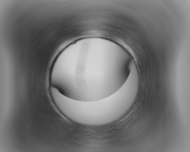 X0000113911477200910221323