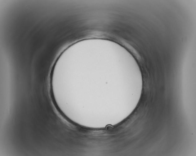 X0000113911479200910221323