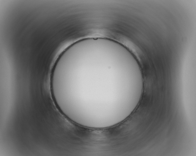 X0000113911480200910221323