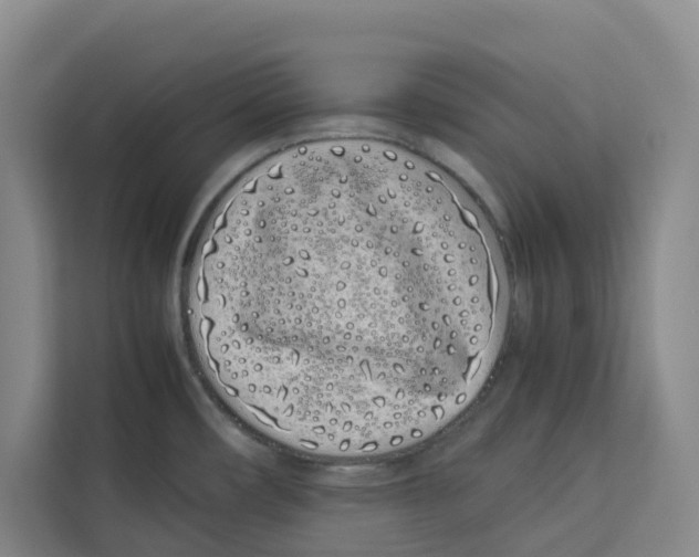 X0000113911482200910221323