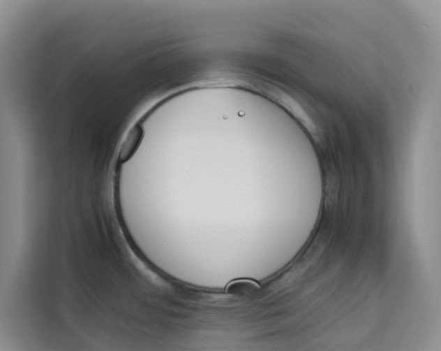 X0000113911484200910221323