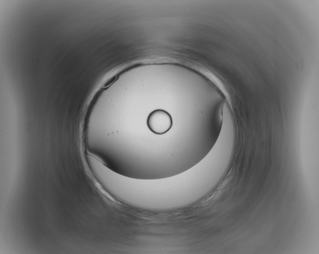 X0000113911485200910221323