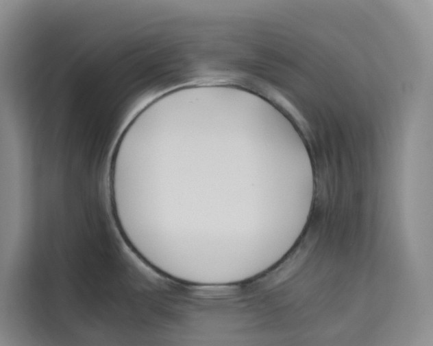 X0000113911487200910221323