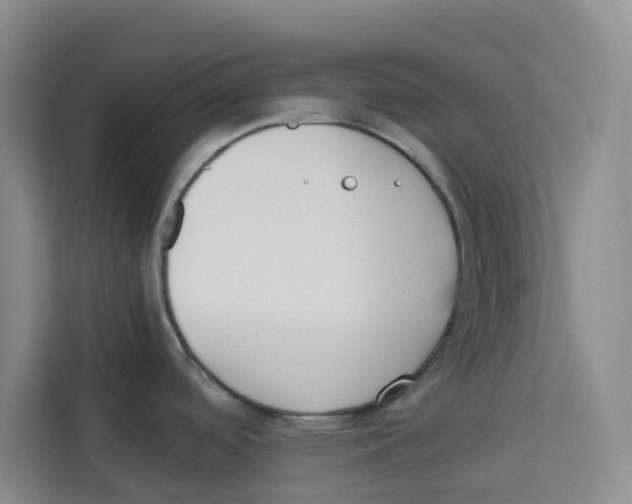 X0000113911488200910221323