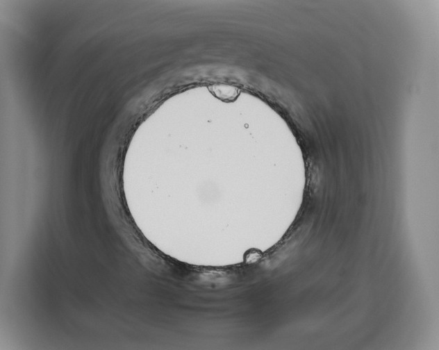 X0000113911489200910221323