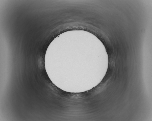 X0000113911490200910221323