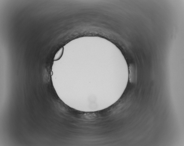 X0000113911491200910221323