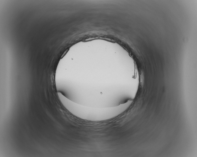 X0000113911492200910221323