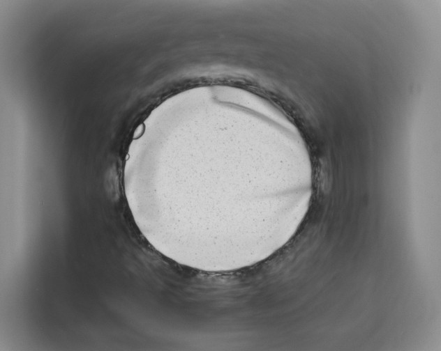 X0000113911493200910221323