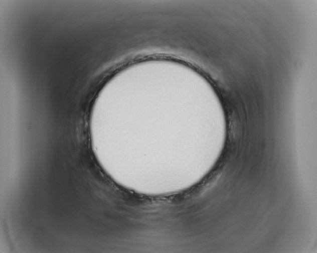 X0000113911494200910221323