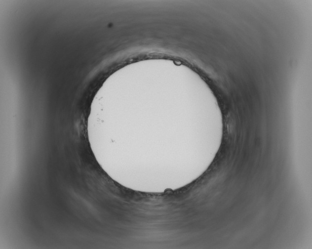 X0000113911495200910221323