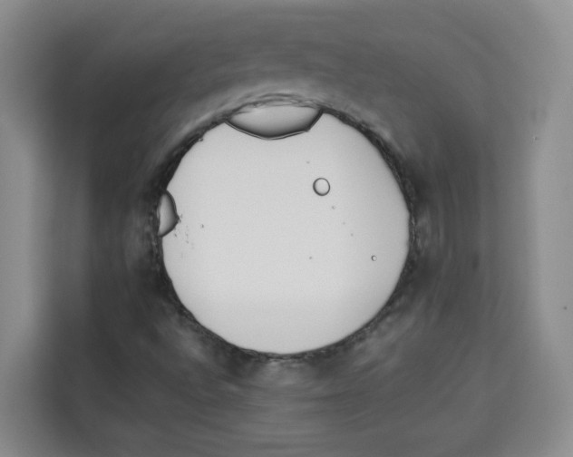 X0000113911496200910221323