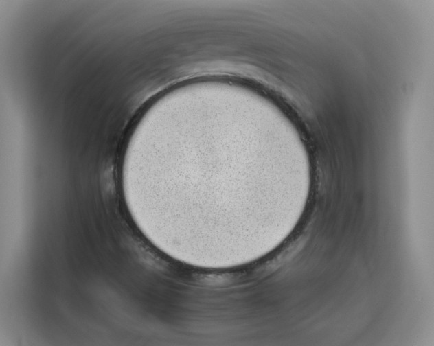 X0000113911497200910221323