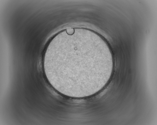 X0000113911498200910221323