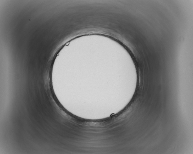 X0000113911500200910221323