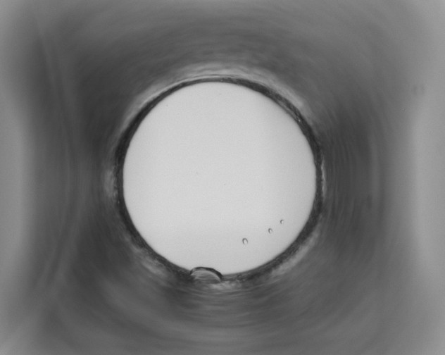 X0000113911501200910221323