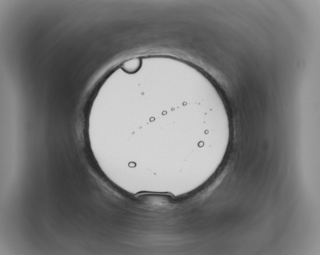 X0000113911502200910221323