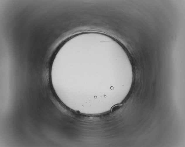 X0000113911503200910221323