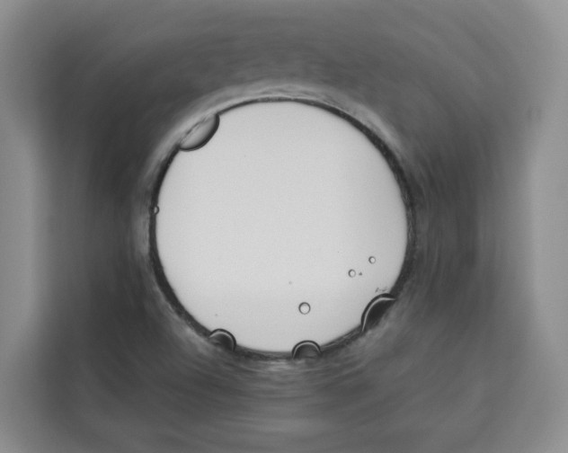 X0000113911504200910221323