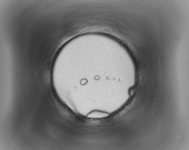 X0000113911505200910221323