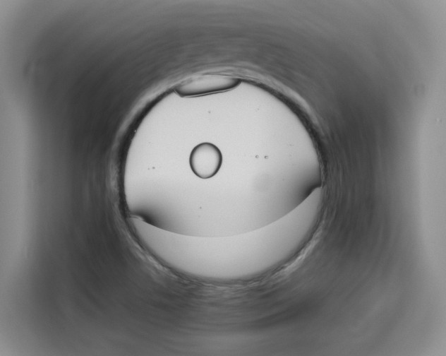 X0000113911506200910221323