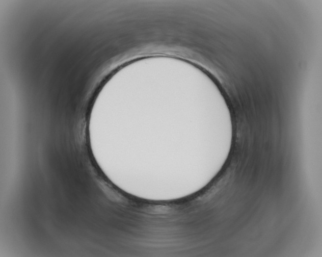 X0000113911507200910221323