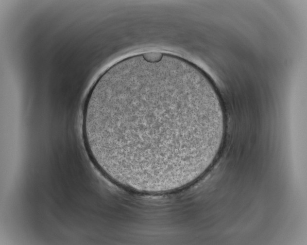 X0000113911508200910221323