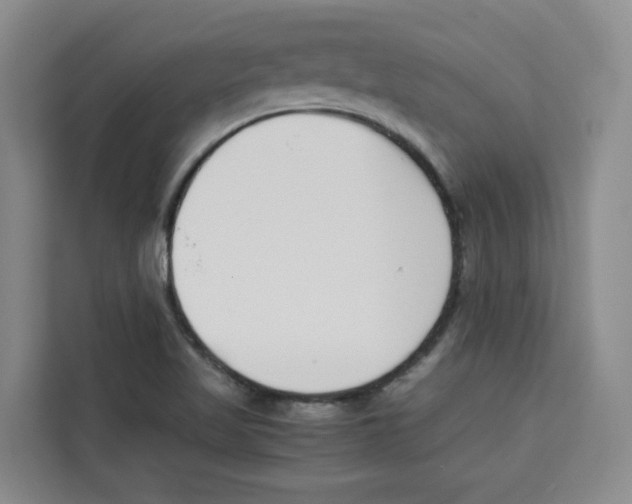 X0000113911509200910221323