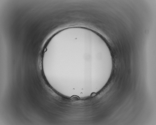 X0000113911510200910221323