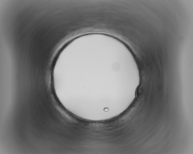 X0000113911511200910221323