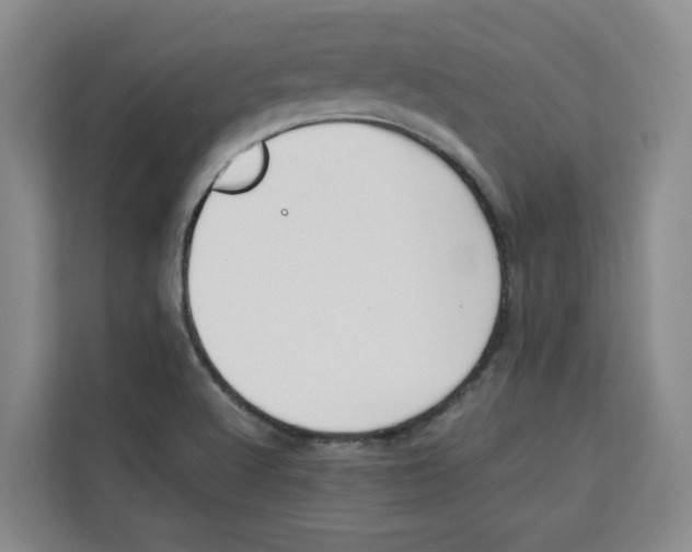 X0000113911512200910221323