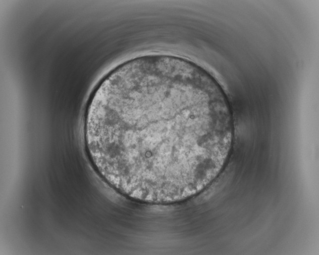 X0000113911514200910221323