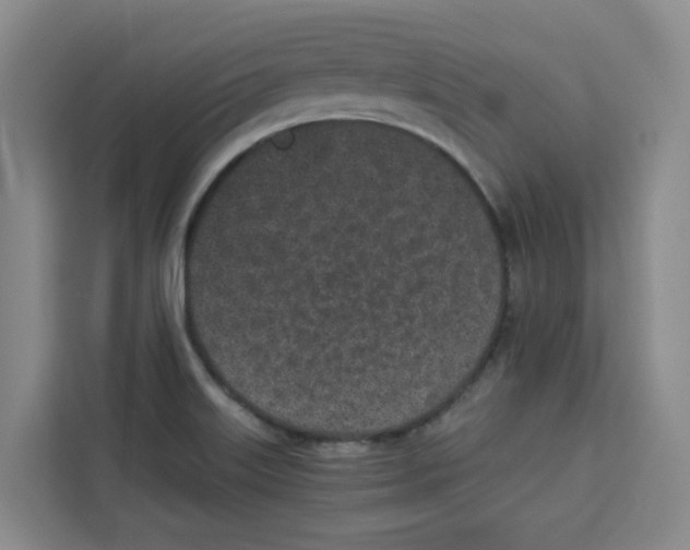 X0000113911515200910221323